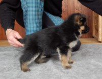 /album/a5-weeks1/a5tyzdnov-f-076-jpg/